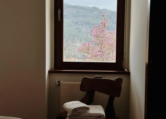 Quinta Trindade Bed & Breakfast Arouca